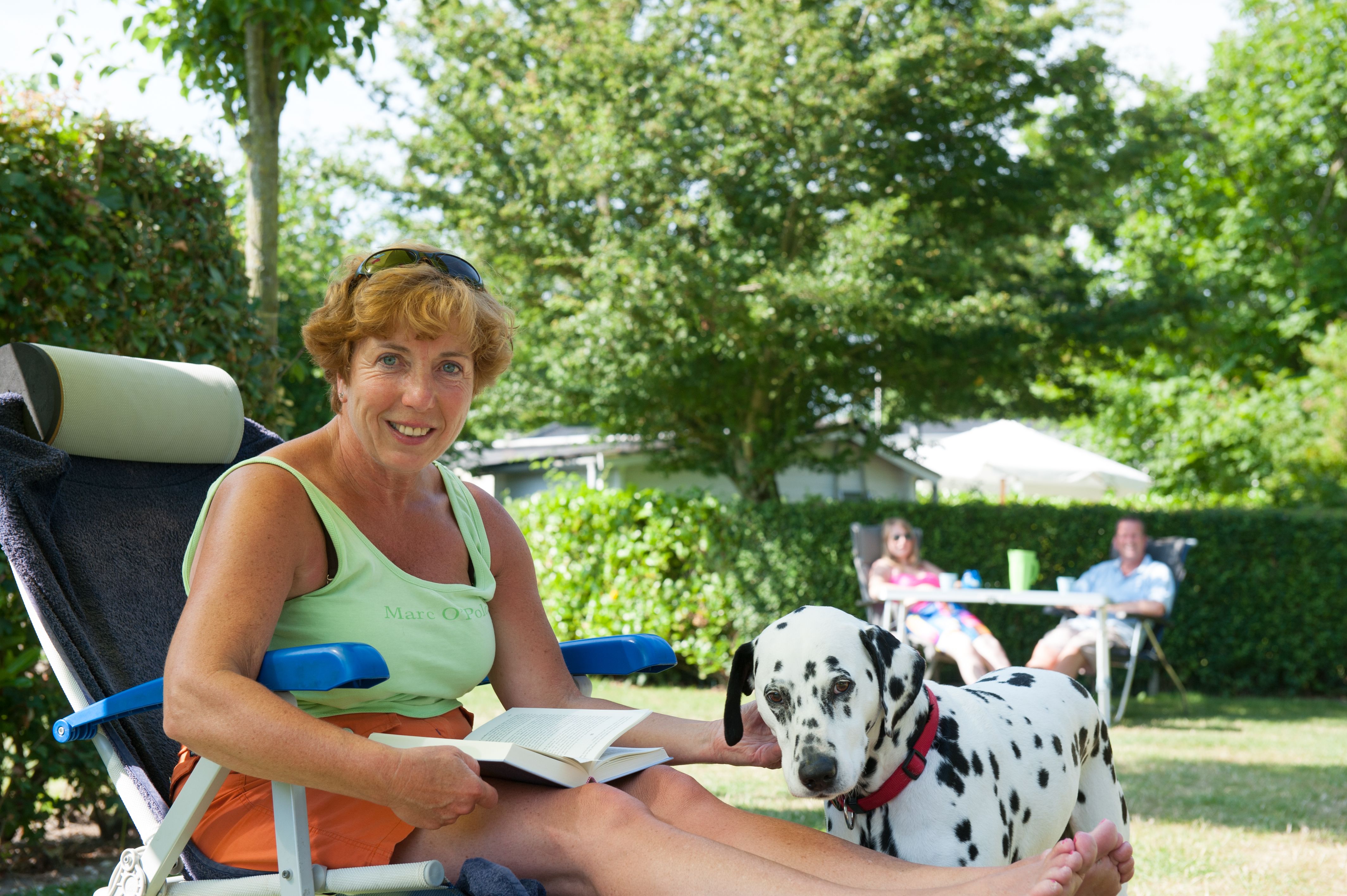 Camping Aan Zee Met Hond Zeeland - Strandcamping De Zwinhoeve